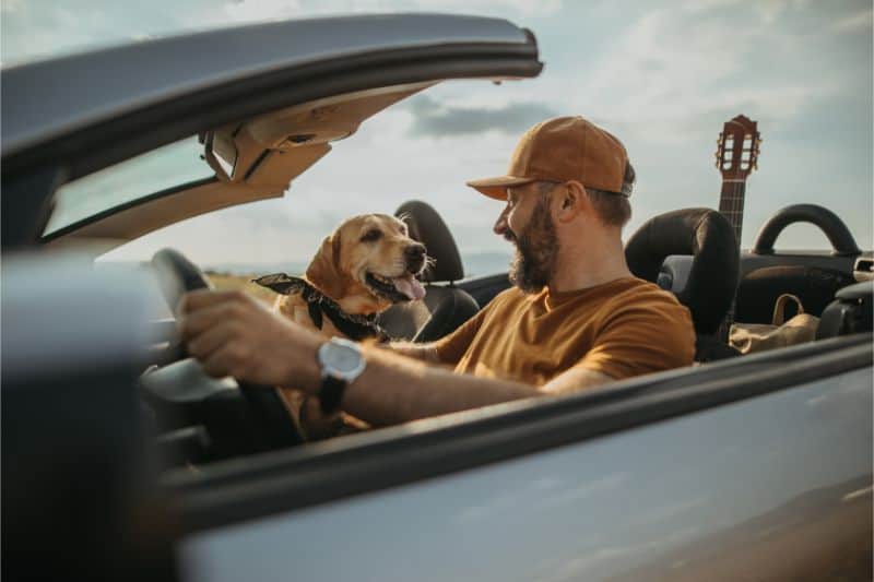 A man drives with his dog in a convertible