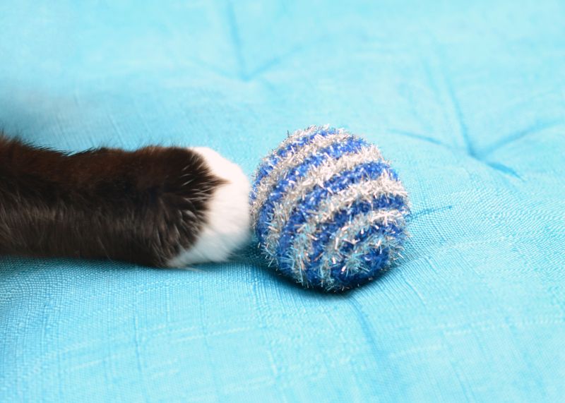 A cat reaching out for a cat toy