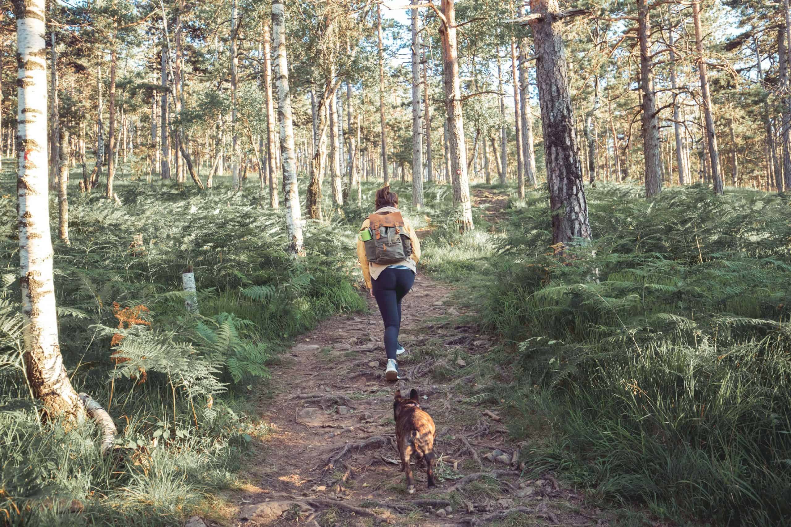 dog and owner in nature