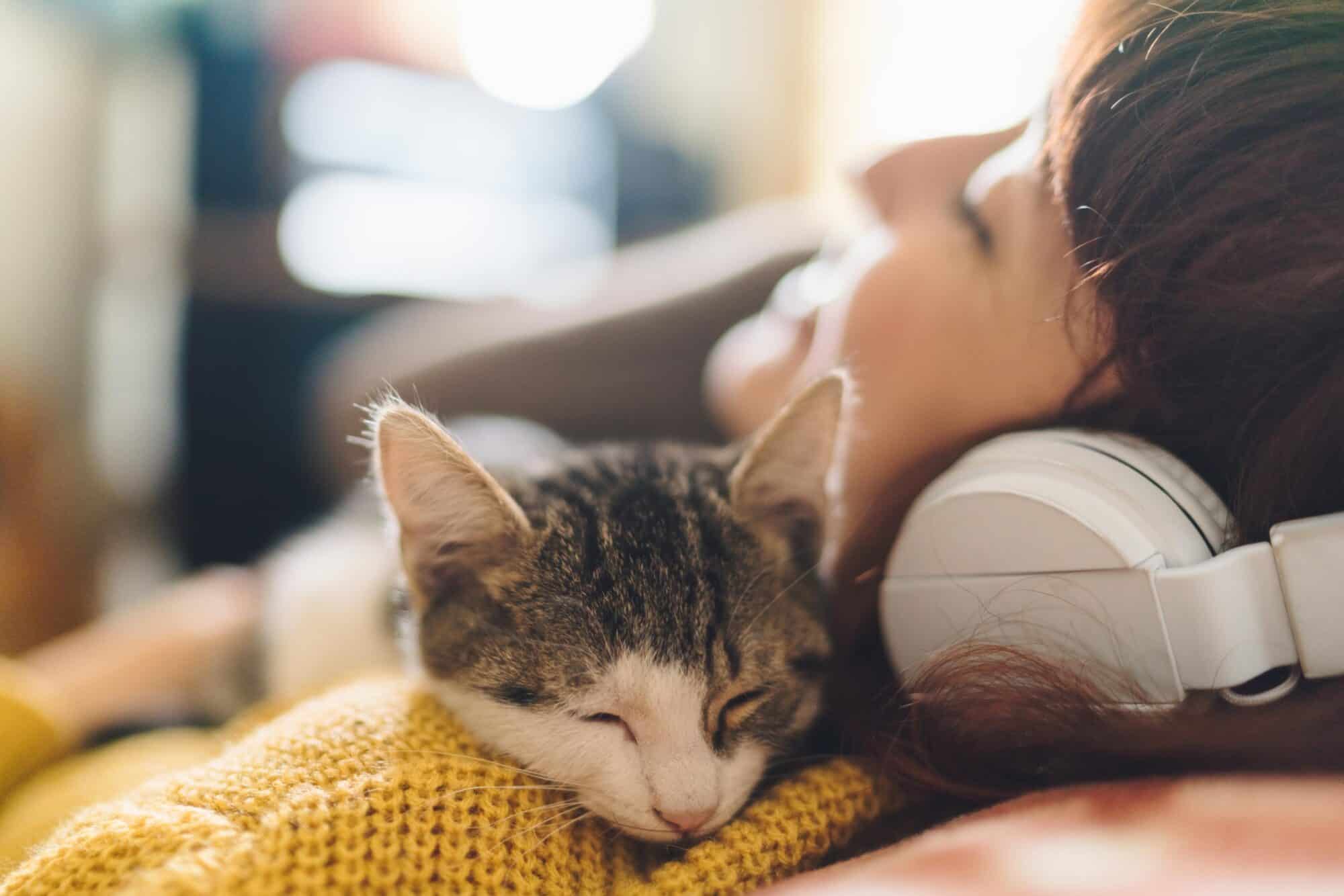Decoding Pets’ Musical Preferences