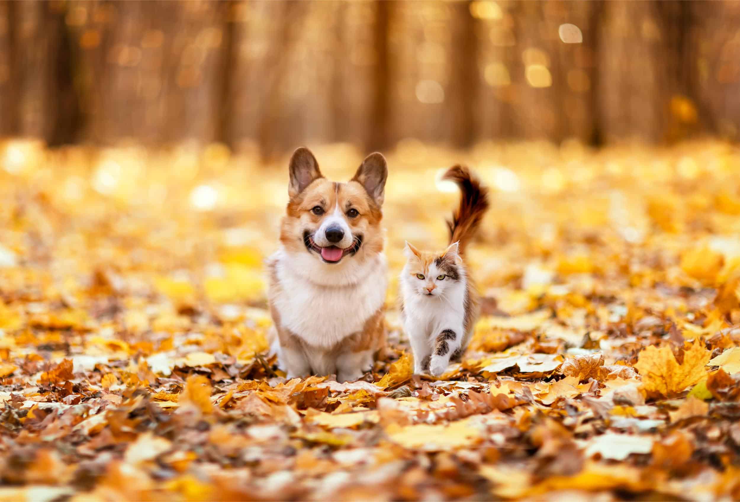 iStock-2123198749-1.jpg