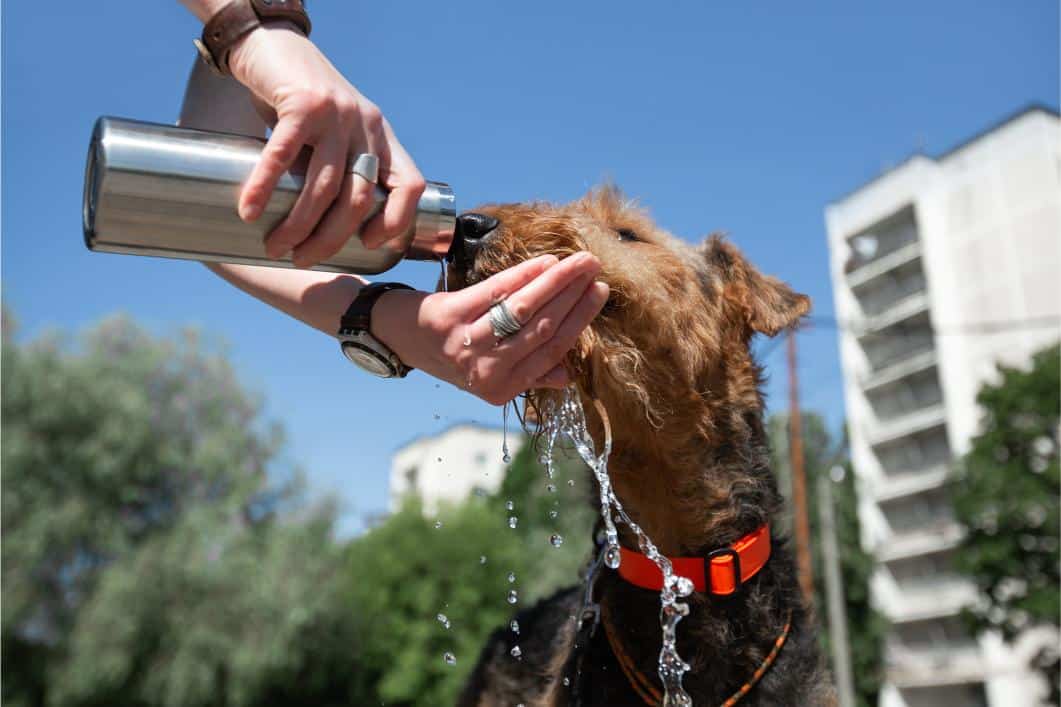 How Fast Heatstroke Develops in Humid Climates