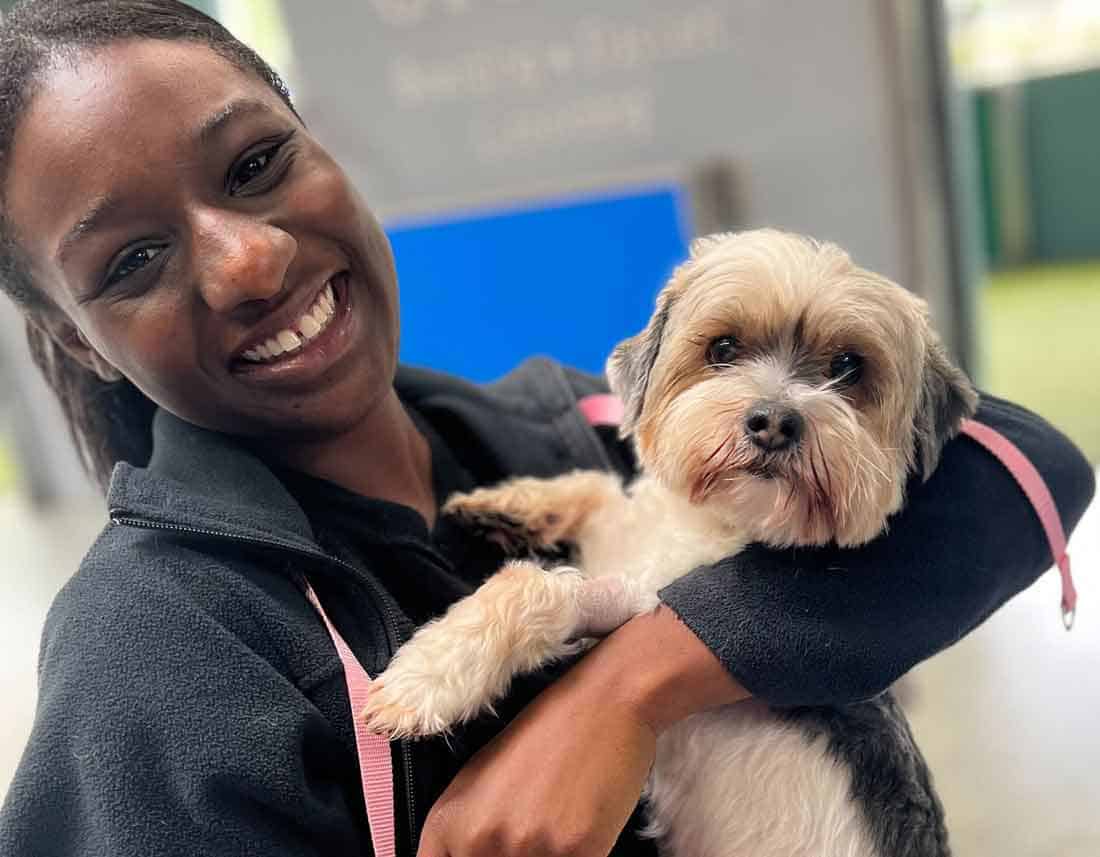 Camp AMH for dogs and cats Camp AMH for dogs and cats