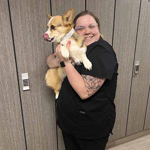 A Dog with Staff A Dog with Staff
