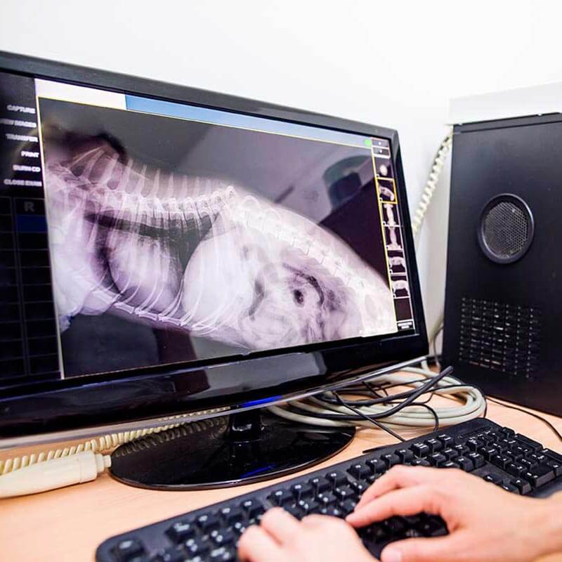 A digital x-ray A digital x-ray