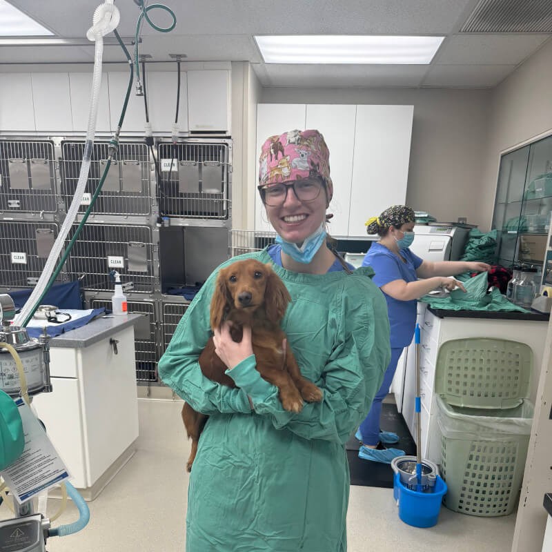 A staff member cuddling a canine patient A staff member cuddling a canine patient