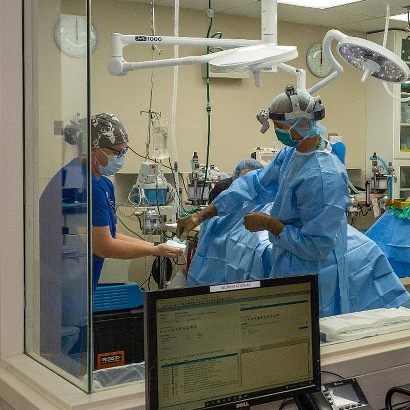 A specialty surgery A specialty surgery
