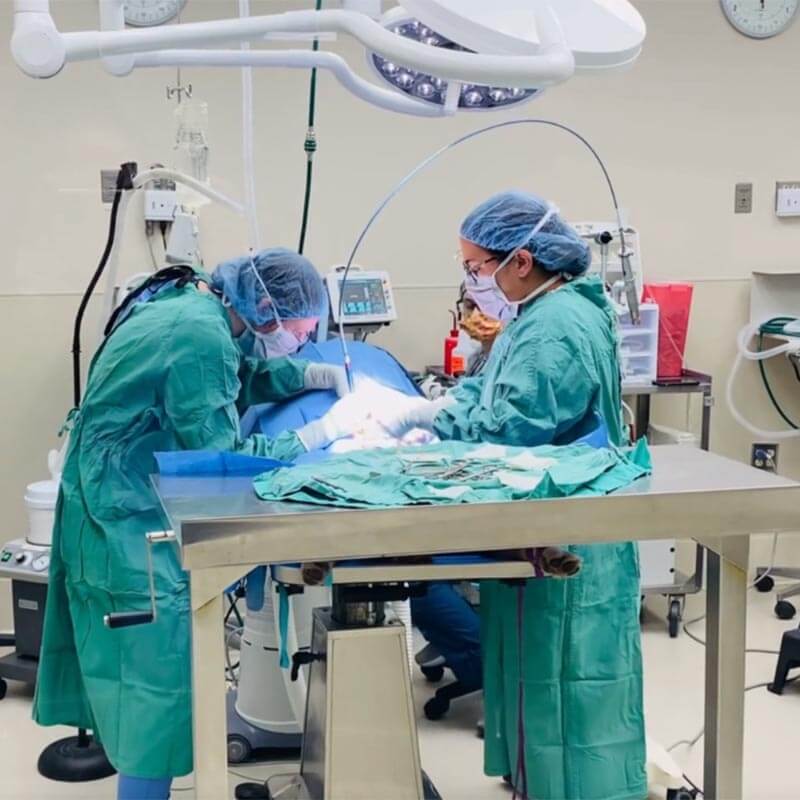 A surgical procedure A surgical procedure