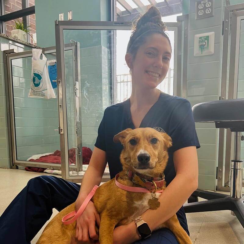 A canine patient with one of our staff A canine patient with one of our staff