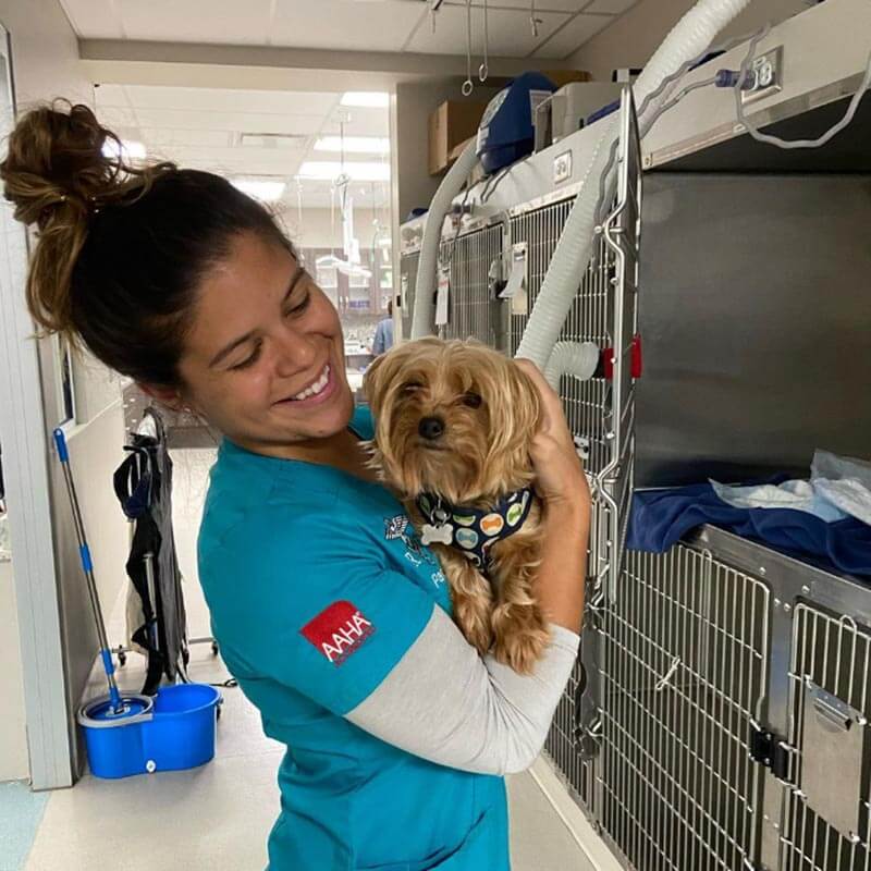 One of our staff members with a canine friend One of our staff members with a canine friend