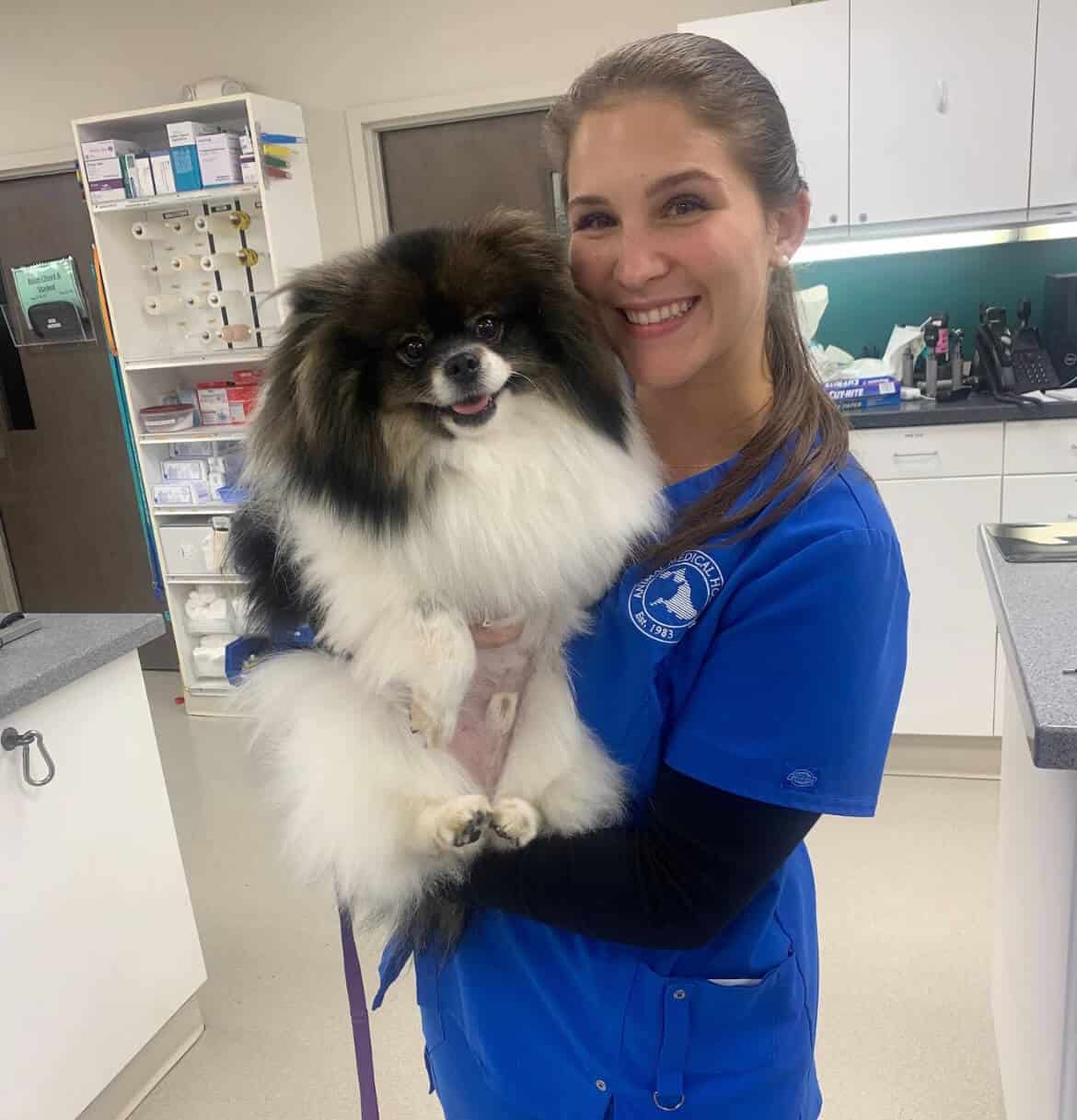 Animal Medical Hospital Internal medicine radiology Animal Medical Hospital Internal medicine radiology