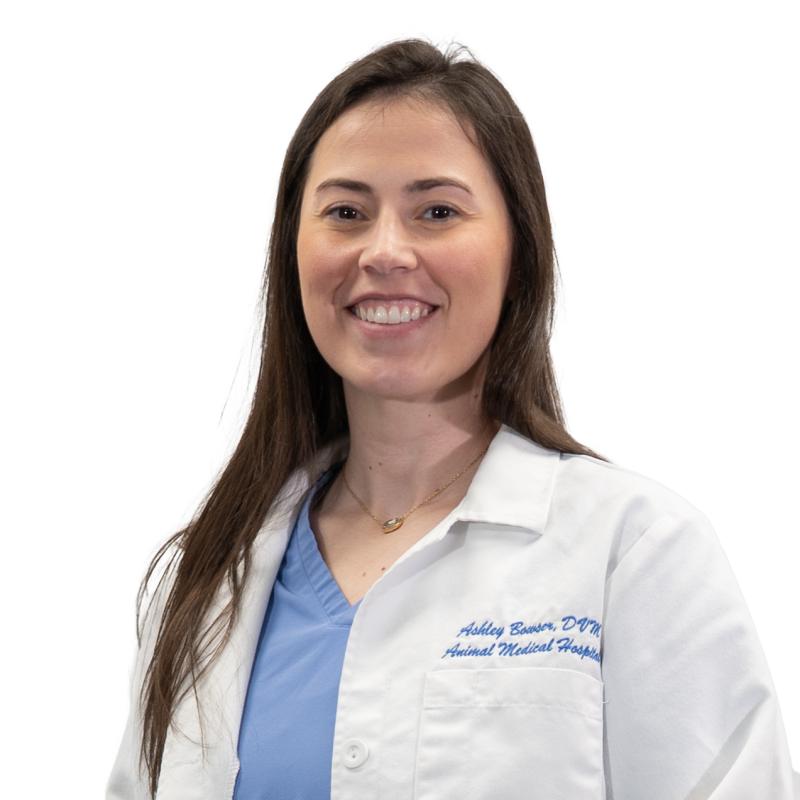Ashley Bowser, DVM